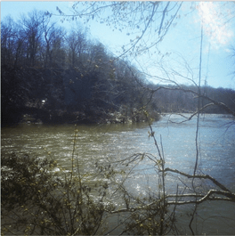 Picture of the Potomac