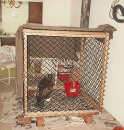 War Eagle VI staying in Lemans Square